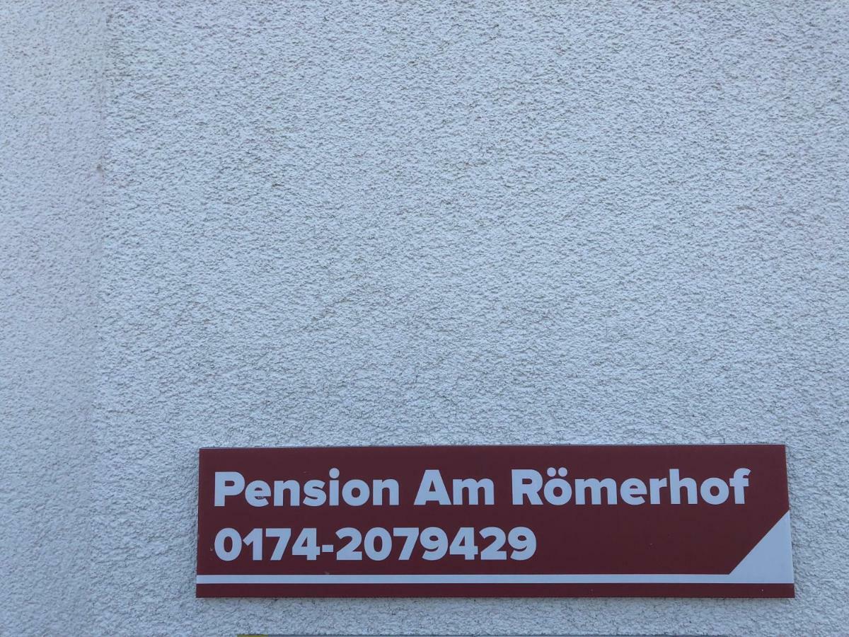 Pension Am Roemerhof Munzenberg ภายนอก รูปภาพ